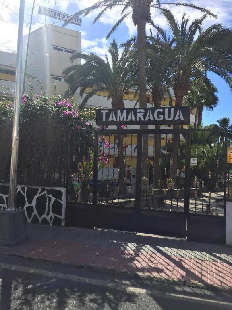 Apartamentos Tamaragua Плайя-дель-Інглес Екстер'єр фото